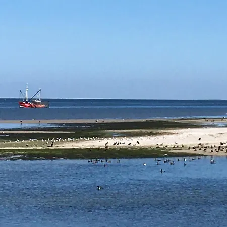Apartament Traumschiff-auszeit Amrum *