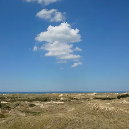 Traumschiff-auszeit Amrum *